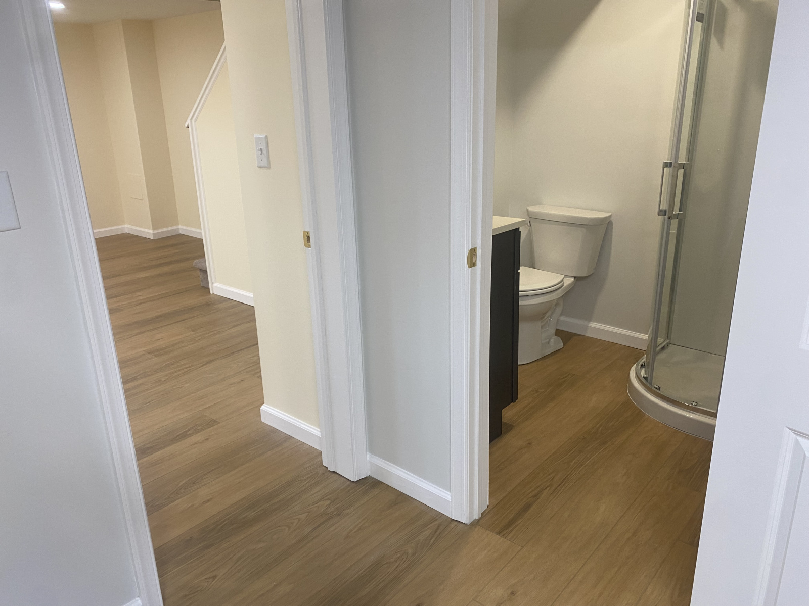 Finished basement with new bathroom, corner shower, and luxury vinyl plank floors